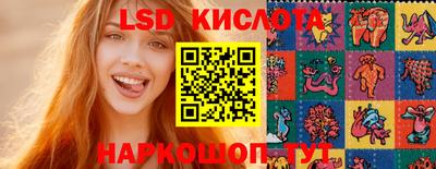 бошки Кимры