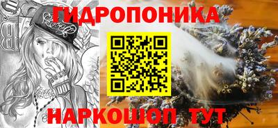 гидра Кинель