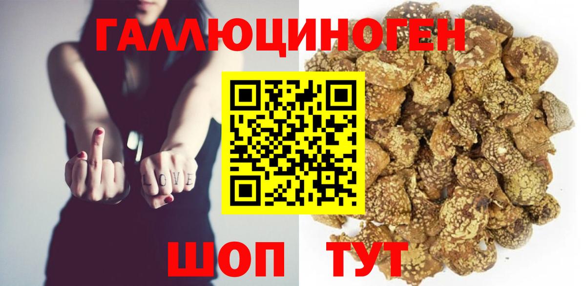Псилоцибиновые грибы прущие грибы  Вход с VPN  Тимашёвск  Псилоцибиновые грибы Cubensis 